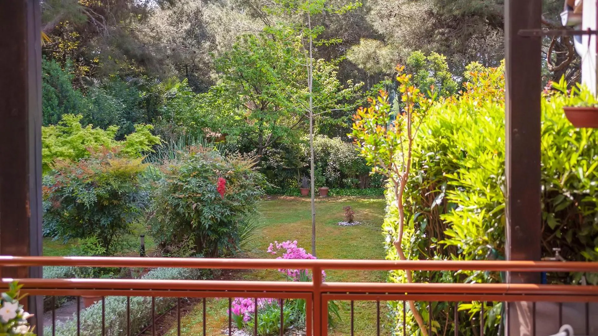 Apartments Branko Rovinj